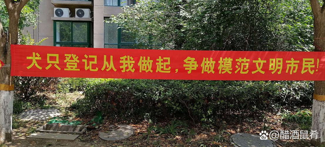 成都夜场预订